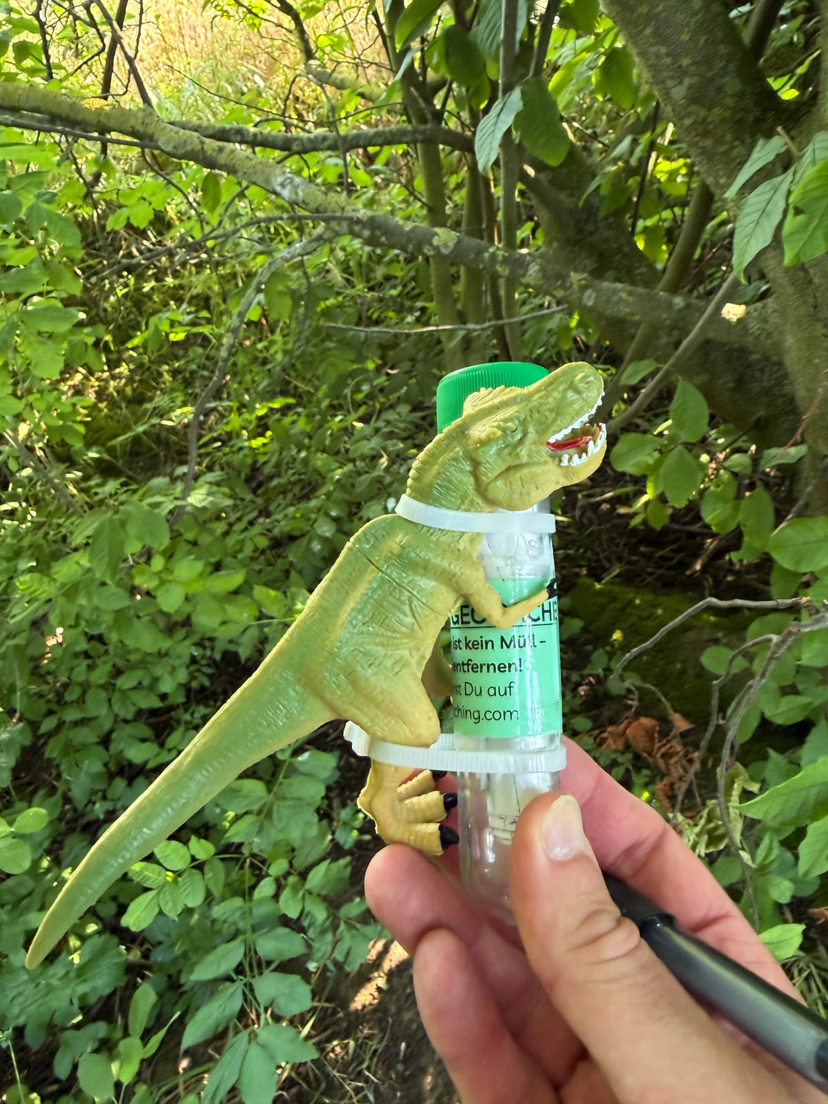 Dino-Geocaching-Tour
