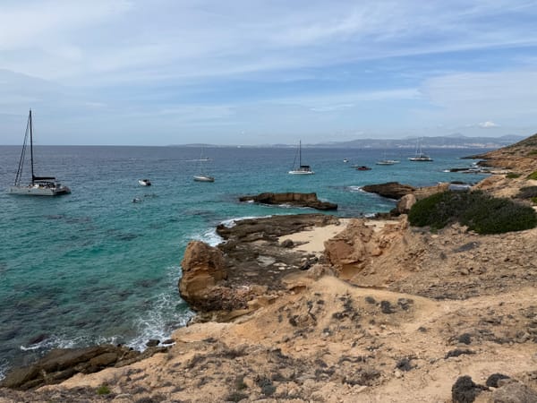 Malerische Küstenwanderung - Von Sa Torre zur Playa de Palma