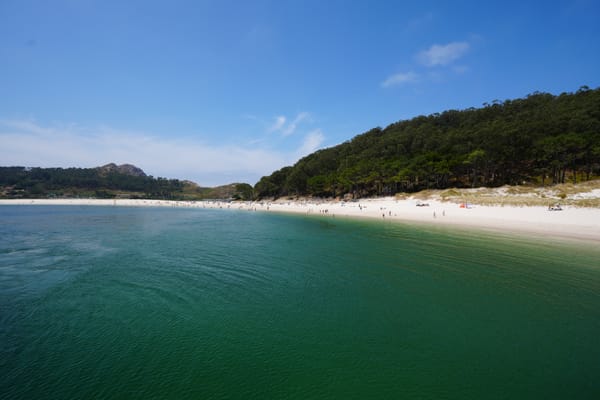 Vigo