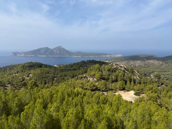 Mit dem Boot hin, zu Fuß zurück: Von Port d'Andratx nach Sant Elm auf dem GR 221